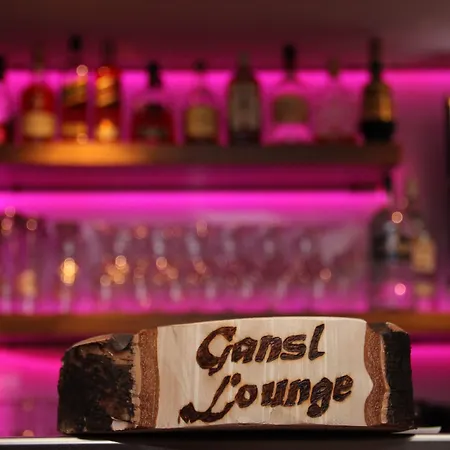 Wohlfuehlhotel Schiestl 호텔